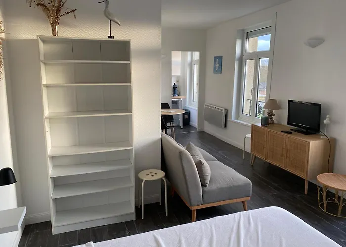 Vue Dégagée Sur Le , à 100m De La Et Du Centre Ville, Exposition Sud Appartement